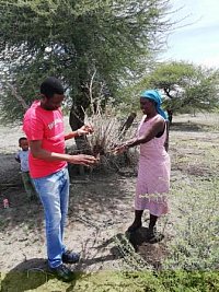 A traditional healer shows a medicinal plant to Mthandazo Dube 
(source: B. Raphane)